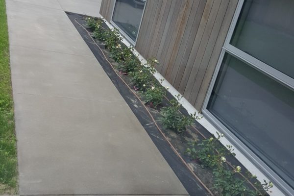 A plain concrete pathway at a residential home in Woodend by Concrete4U